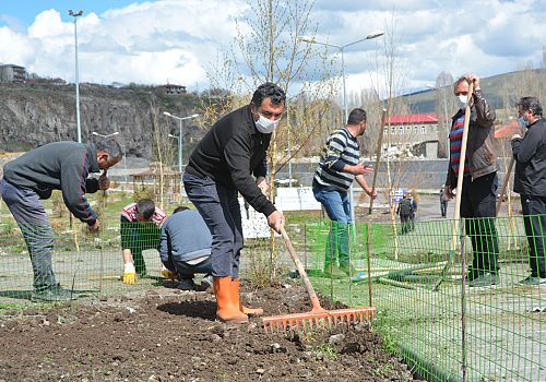 Ardahan Belediyesi Şehrin Dörtbir Yanında Yeşillendirme Çalışması Başlattı 