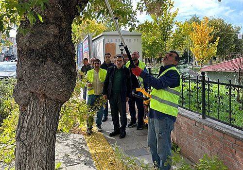 Ardahan Belediyesi, sonbahar mevsimi dolayısıyla ağaçların bakım ve budama çalışmalarına hız verdi.
