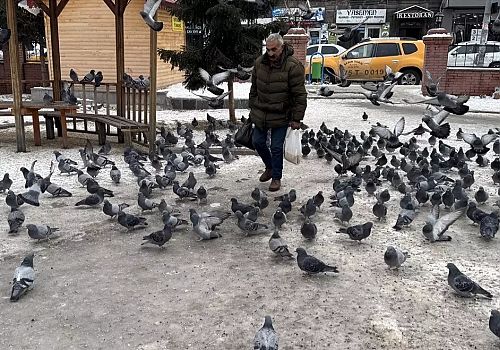 Ardahan'da 65 yaşındaki İsmet Başdemir, emekli maaşıyla sokak hayvanlarını besliyor.