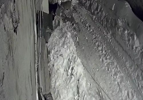 Ardahan'da aç kalan kurtlar, yerleşim yerlerine inmeye devam ediyor.