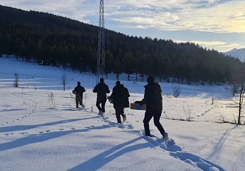 Ardahan’da ağır kış şartlarında yiyecek sıkıntısı yaşayan yaban hayvanları unutulmadı