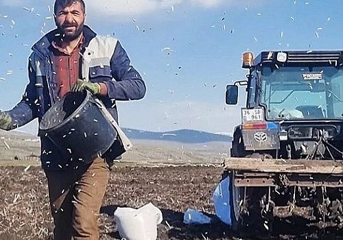 Ardahan da Bahar ayı ile birlikte ekim mevsimi başladı