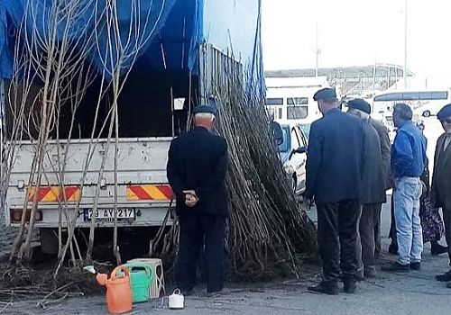 Ardahan’da bahar mevsiminin gelmesiyle birlikte kapalı halk pazarında meyve fidanı satışları başladı