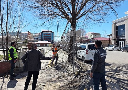 Ardahan’da Bahar Temizliği: Belediye Ağaç Budama Mesaisini Artırdı