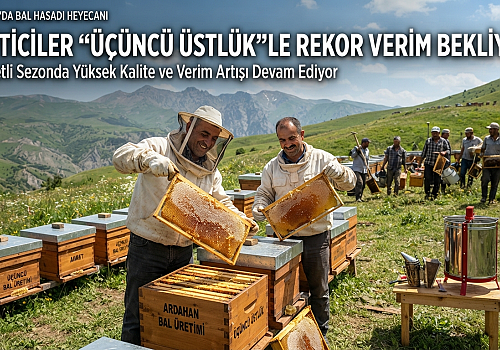 Ardahan'da Bal Hasadı Heyecanı: Üreticiler Üçüncü Üstlük le Rekor Verim Bekliyor