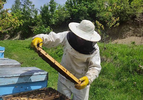 Ardahan’da bal üreticileri sezon hazırlıklarına başladı