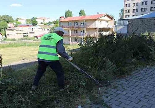 Ardahan da Belediye Ekipleri Ağaçlar budayıp yabani otlar temizledi 