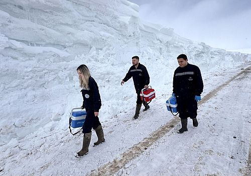 Ardahan'da Beyaz Esaret Altında Şifa Mesaisi: Veterinerlerin Kar ve Tipiyle İmtihanı
