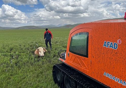 Ardahan'da çamurda mahsur kalan inek, AFAD ekiplerince kurtarıldı