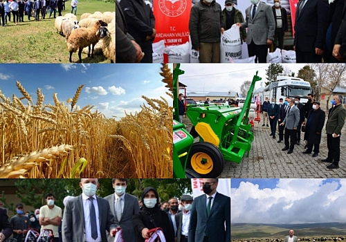 Ardahan'da çiftçilere 6 milyon lira kuraklık desteği verildi