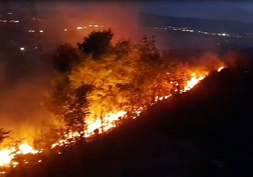 Ardahan’da çıkan anız ve fidanlık yangını ekiplerin hızlı müdahalesiyle söndürüldü