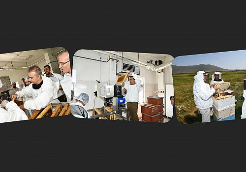 Ardahan da Coğrafi İşaret Patentli Ardahan Çiçek Balında hasat başladı