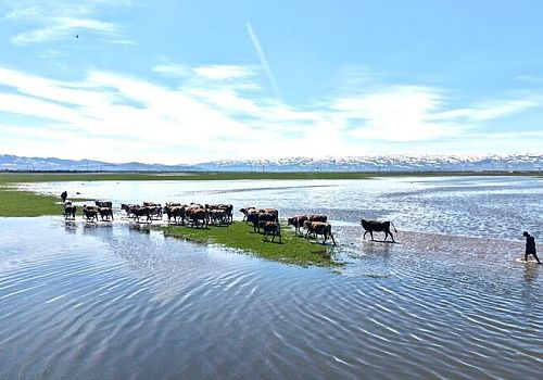 Ardahan’da Doğal Görsel Şölen: Kura Nehri Havadan Görüntülendi