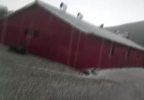 Ardahan'da dolu yağışı...Şiddetli fırtına seralara zarar verdi, ağaçları devirdi