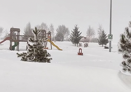 Ardahan'da dondurucu soğuk: Ağaçlar kırağı tuttu