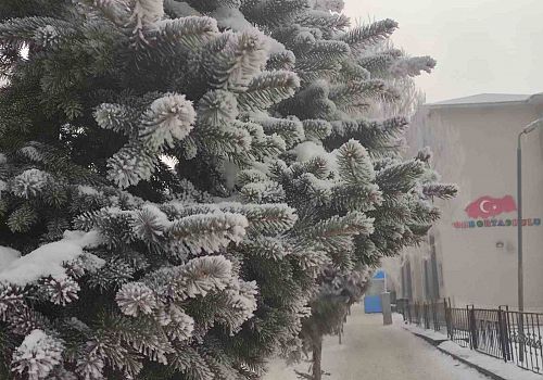 Ardahan’da Dondurucu Soğuk ve Yoğun Sis Hayatı Olumsuz Etkiliyor