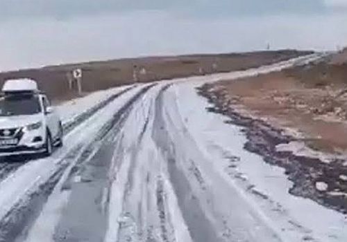 Ardahan’da etkili olan dolu, ekili arazilere zarar verdi.