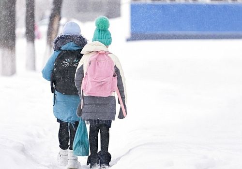 Ardahan'da etkili olan kar yağışı nedeniyle taşımalı ve köy okullarıda eğitime ara verildi