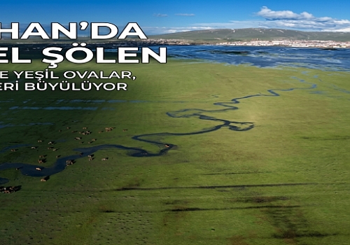 Ardahan'da görsel şölen: Yazın gelişiyle canlanan menderesler kartpostallık manzaralar oluşturdu