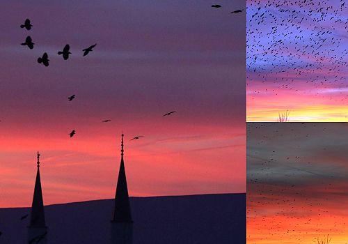 Ardahan’da Gün Batımı Şehri Kızıla Bürüdü