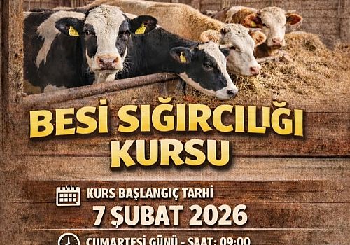 Ardahan’da Hayvancılığa Destek: Besi Sığırcılığı Kursu Başlıyor