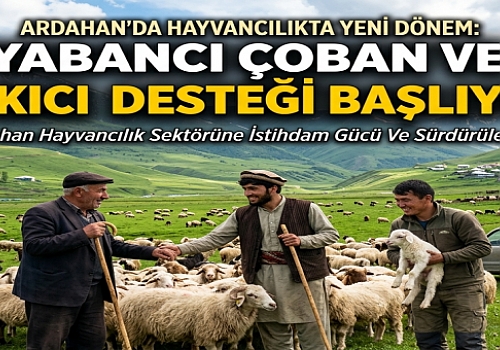 Ardahan'da Hayvancılık Sektörüne Yabancı Çoban ve Bakıcı Desteği Başlıyor