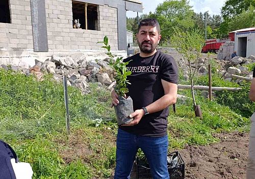 Ardahan’da ilk kez çay ekimi gerçekleşti