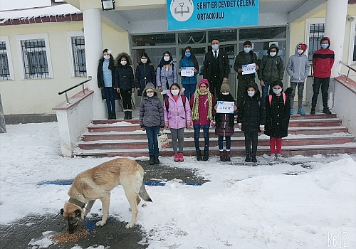 Ardahan'da İyilik Timi kuran öğrenciler, yaşlılara ve sokak hayvanlarına destek oluyor