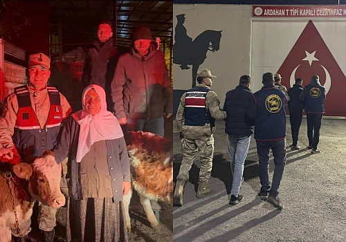Ardahan’da JASAT’tan Başarılı Operasyon: Çalınan Büyükbaş Hayvanlar Sahibine Teslim Edildi