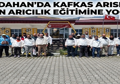 Ardahan'da Kafkas Arısı ve Modern Arıcılık Eğitimine Yoğun İlgi