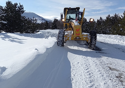 Ardahan'da kar nedeniyle kapanan 61 köy yolu ulaşıma açıldı