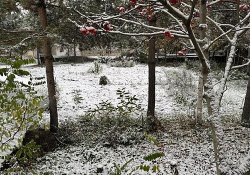 Ardahan'da kar, şehri beyaza bürüdü.