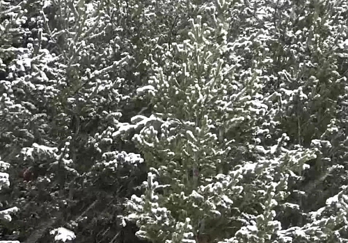 Ardahan'da kar ve tipi ulaşımı olumsuz etkiliyor