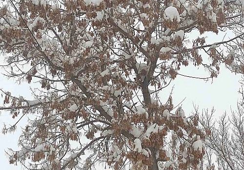 Ardahan'da kar yağışı sonrası beyaza bürünen kent merkezi kartpostallık görüntüler oluşturdu