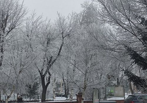Ardahan’da kar yağışının ardından etkili olan dondurucu soğuk hayatı durma noktasına getirdi