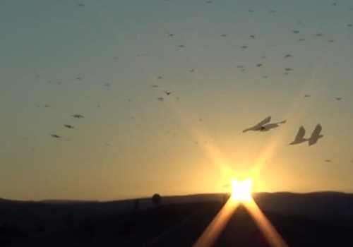 Ardahan da karga istilası dün akşam saatlerinde yeniden başladı.