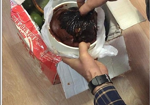 Ardahan'da kargo aracında limon kolisine gizlenmiş tarihi eserler ele geçirildi