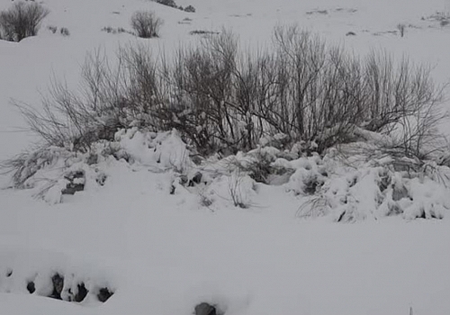 Ardahan'da kartpostallık kar manzaraları