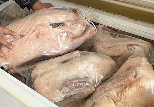 Ardahan’da Kaz Fiyatlarına Tepki: Kış Sofrasının Vazgeçilmezi Cep Yakıyor