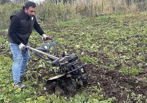 Ardahan da kekik ekimi, üreticilere eğitim ve destek sağlanarak sürdürülüyor