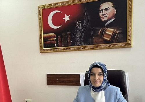 Ardahan da Kendilerini yaralayan kişiyle TEMA'ya 500 fidan bağışı şartıyla uzlaştılar