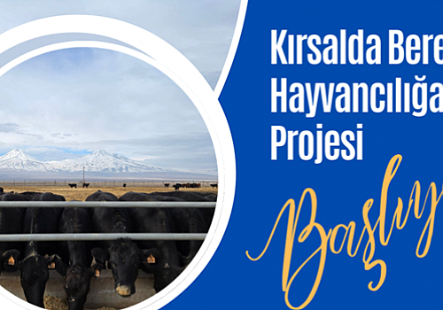 Ardahan’da ‘Kırsalda Bereket, Hayvancılığa Destek Projesi’ne 4 bin 659 başvuru yapıldı.