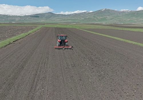 ardahan'da kışın ardından ekim mesaisi başladı: çiftçiler zamanla yarışıyor