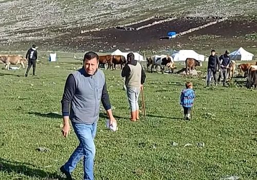 Ardahan da Kısır Dağı zirvesindeki yaylalarda çiftçiler hayvanları için kayalıklara tuz bırakıyorlar.