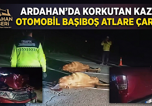Ardahan'da Korkutan Kaza: Otomobil Başıboş Atlara Çarptı