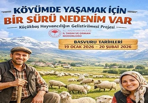 Ardahan’da Küçükbaş Hayvancılığa Büyük Destek