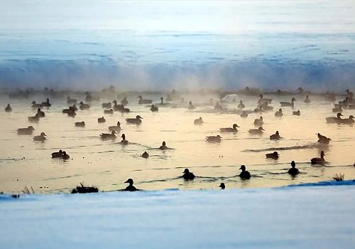 Ardahan'da Kura Nehri'nde gün batımında buharlaşma oluştu.