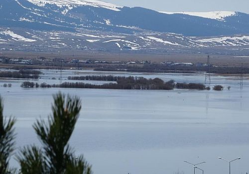 Ardahan da Kura Nehri’nin bu yıl ikinci kez taşması sonucu tarım arazileri de sular altında kaldı