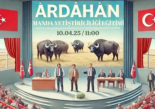 Ardahan da manda sütü üreticileri için önemli bir eğitim programı düzenlenecek