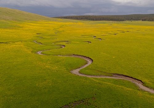 Ardahan da menderesler, çevresini saran ilkbahar renkleriyle kartpostallık manzaralar sunuyor